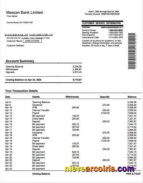 Pakistan Meezan Bank Limited account statement Word and PDF